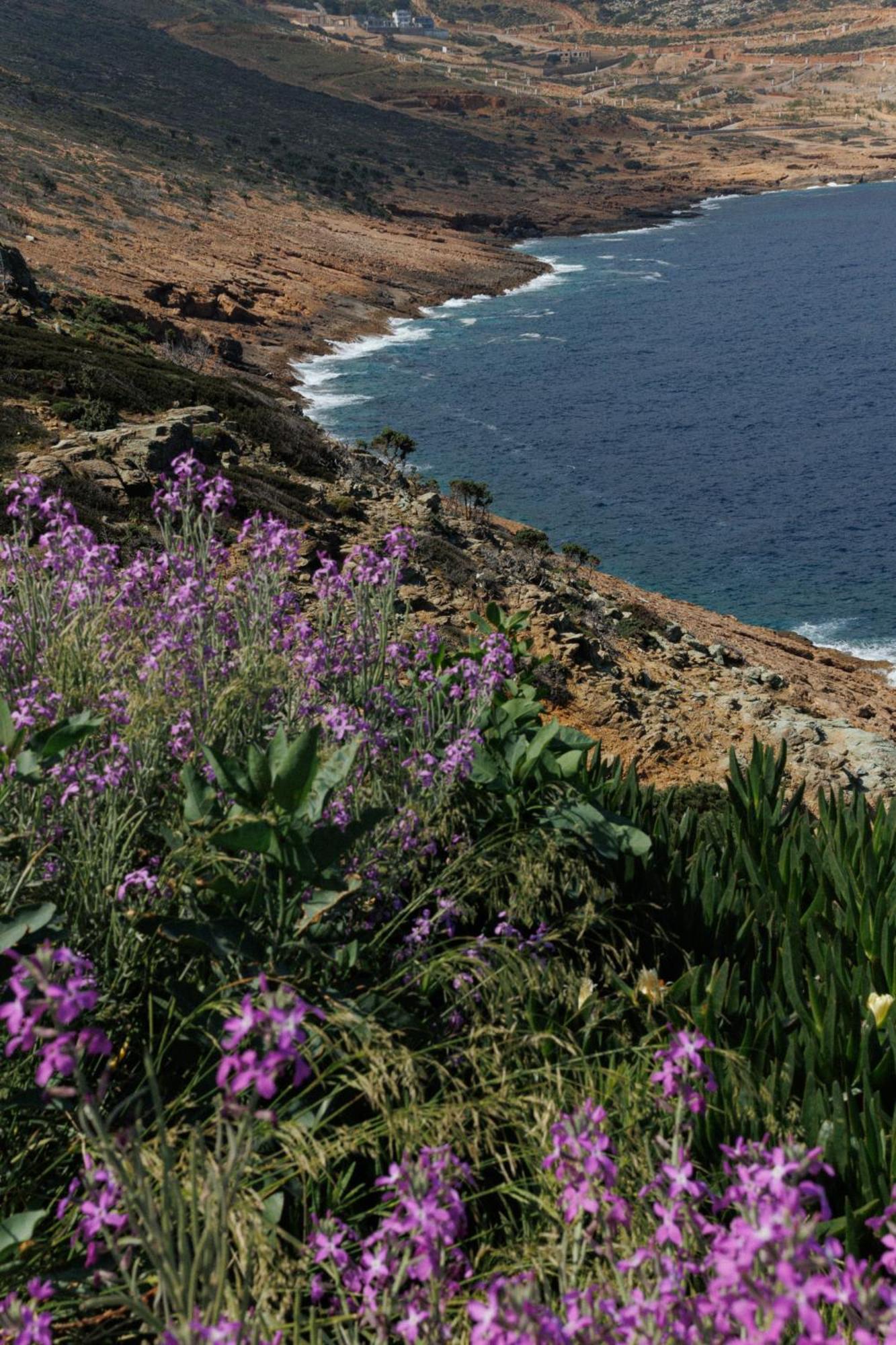 Rock Bay Villas - Luxury Villas In Crete Agia Pelagia  Exterior foto
